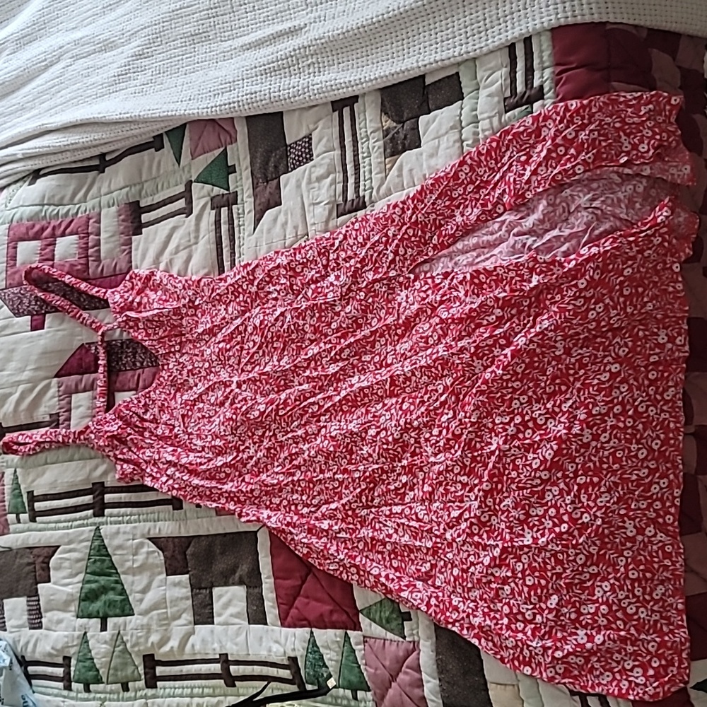 Red Floral Backless Princess Polly Sundress - Picture 4 of 7
